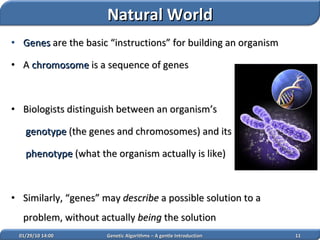 02/05/10   14:07 Genetic Algorithms – A gentle Introduction Genes  are the basic “instructions” for building an organism A  chromosome  is a sequence of genes Biologists distinguish between an organism’s   genotype  (the genes and chromosomes) and its   phenotype  (what the organism actually is like) Similarly, “genes” may  describe  a possible solution to a problem, without actually  being  the solution Natural World 