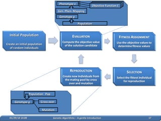 02/05/10   14:07 Genetic Algorithms – A gentle Introduction Phenotype  x Genotype  g Gen. Phen. Mapping Population Objective Function  f i Population  Pop Cross over Mutation Genotype  g Initial Population Create an initial population of random individuals 