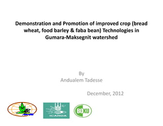 Demonstration and Promotion of improved crop (bread
  wheat, food barley & faba bean) Technologies in
           Gumara-Maksegnit watershed




                        By
                 Andualem Tadesse

                           December, 2012
 