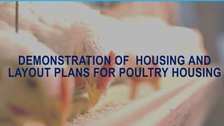 DEMONSTRATION OF HOUSING AND
LAYOUT PLANS FOR POULTRY HOUSING
 