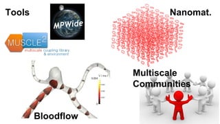 Tools

Nanomat.

Multiscale
Communities

Bloodflow

 