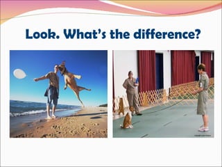 Demonstrative adjectives | PPT