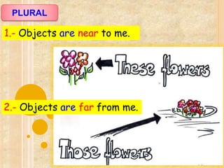 PLURAL
1.- Objects are near to me.
2.- Objects are far from me.