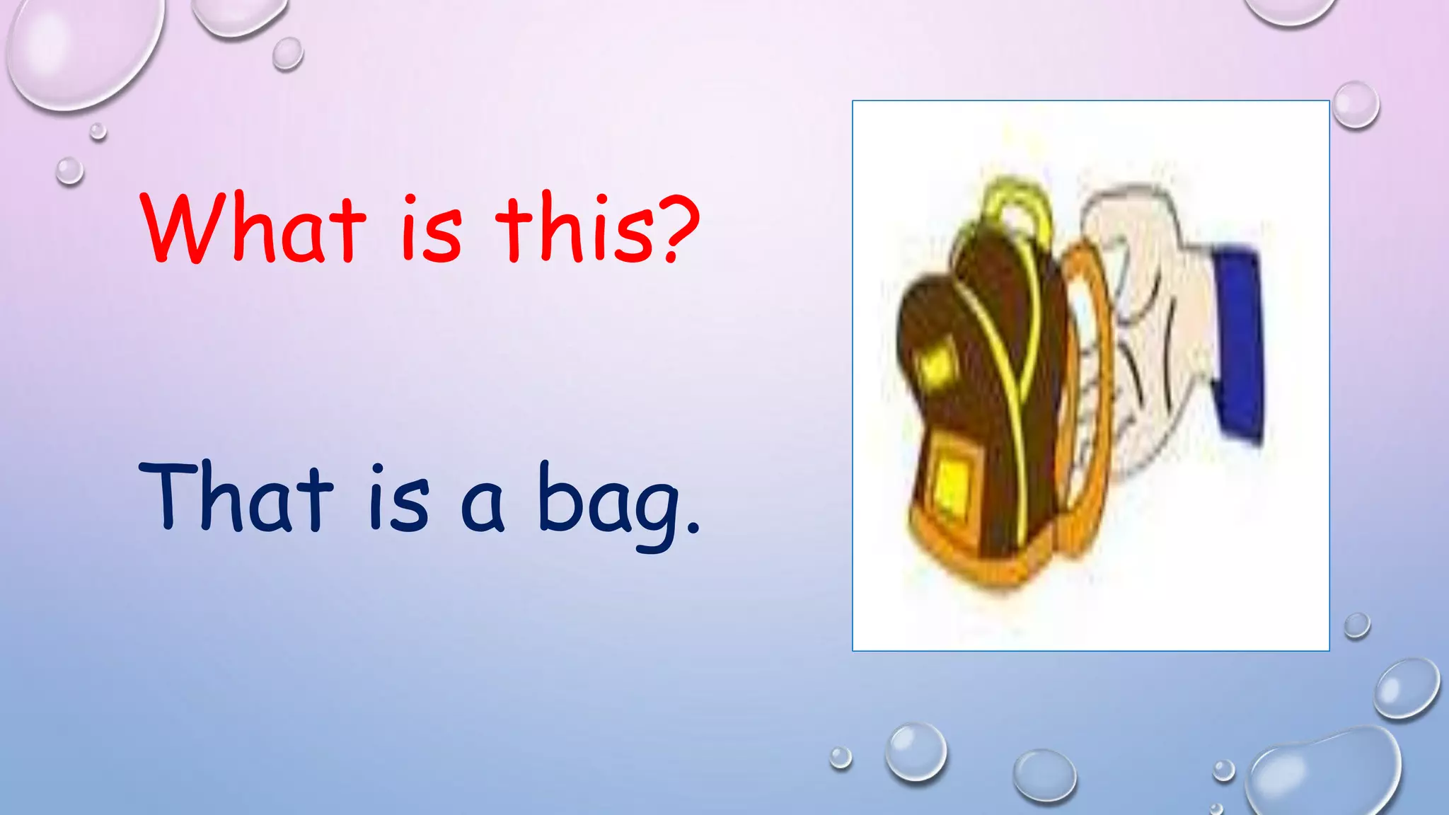 What is this?
That is a bag.
 