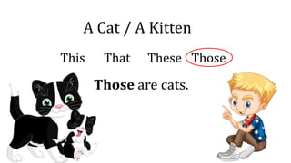 A Cat / A Kitten
This That These Those
Those are cats.
 