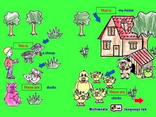 That is

my home

This is

a sheep

These are

ducks
Those are
chicks

 