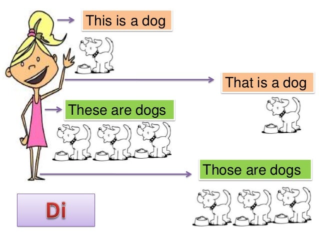 Exemple De Adjective Demonstrative  hadiselamet