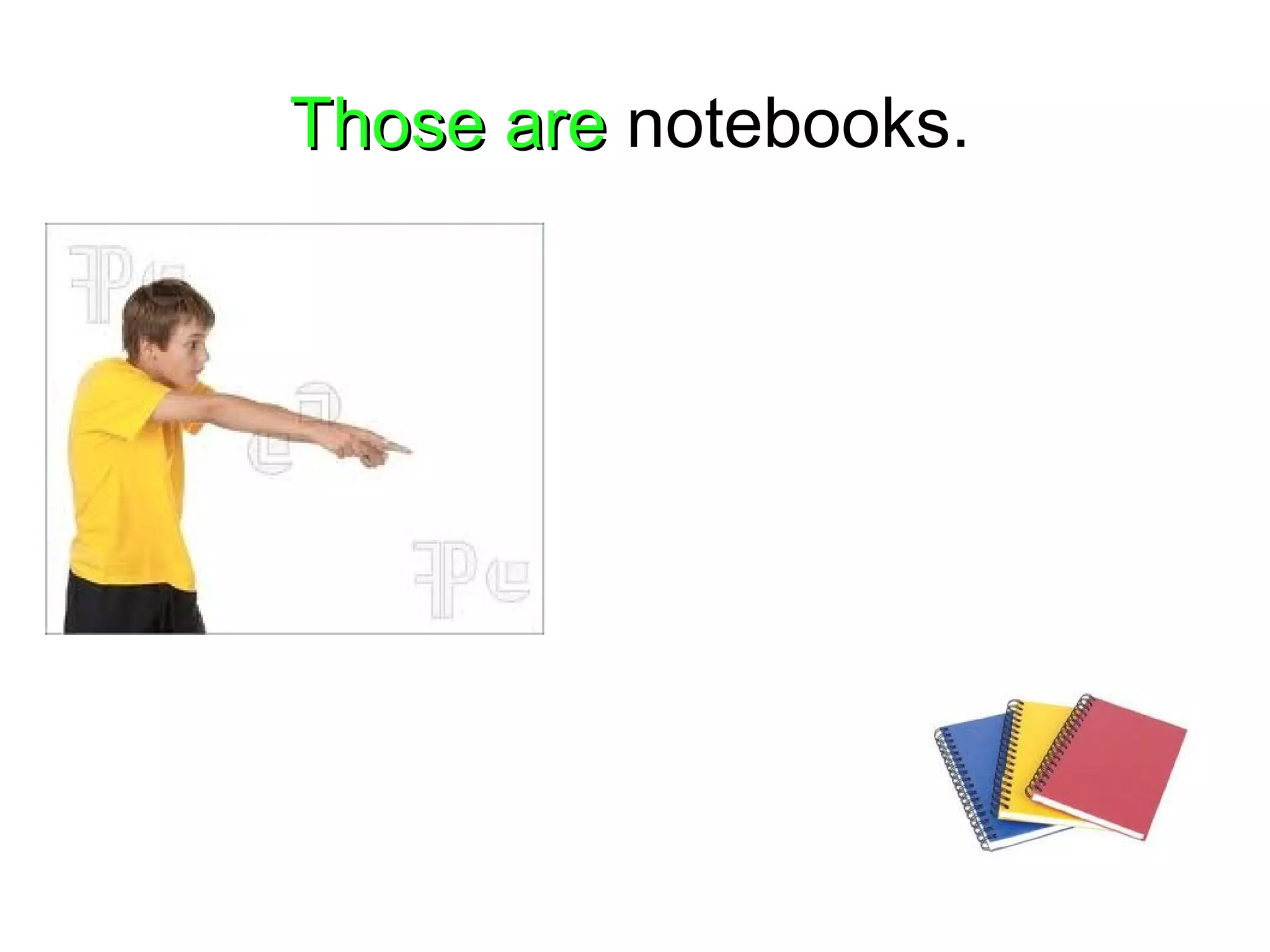 Those areThose are notebooks.