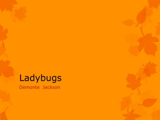 Ladybugs
Demonte Jackson
 