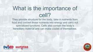 What is the importance of
cell?
They provide structure for the body, take in nutrients from
food and convert those nutrients into energy and carry out
specialized functions. Cells also contain the body’s
hereditary material and can make copies of themselves.
 