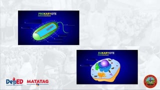 Demonstrattion Powerpoint for class demonstration