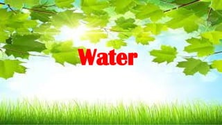 Water
 