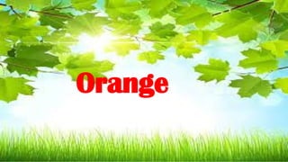 Orange
 