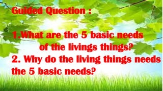 Guided Question :
1.What are the 5 basic needs
of the livings things?
2. Why do the living things needs
the 5 basic needs?
 