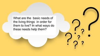 What are the basic needs of
the living things in order for
them to live? In what ways do
these needs help them?
 