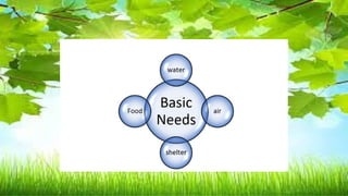 Basic needs Not basic needs
banana ball
Mineral water Toy car
Bread lipstick
Turbo fan cellphone
Shelter ( picture ) Wrist watch
clothes
 