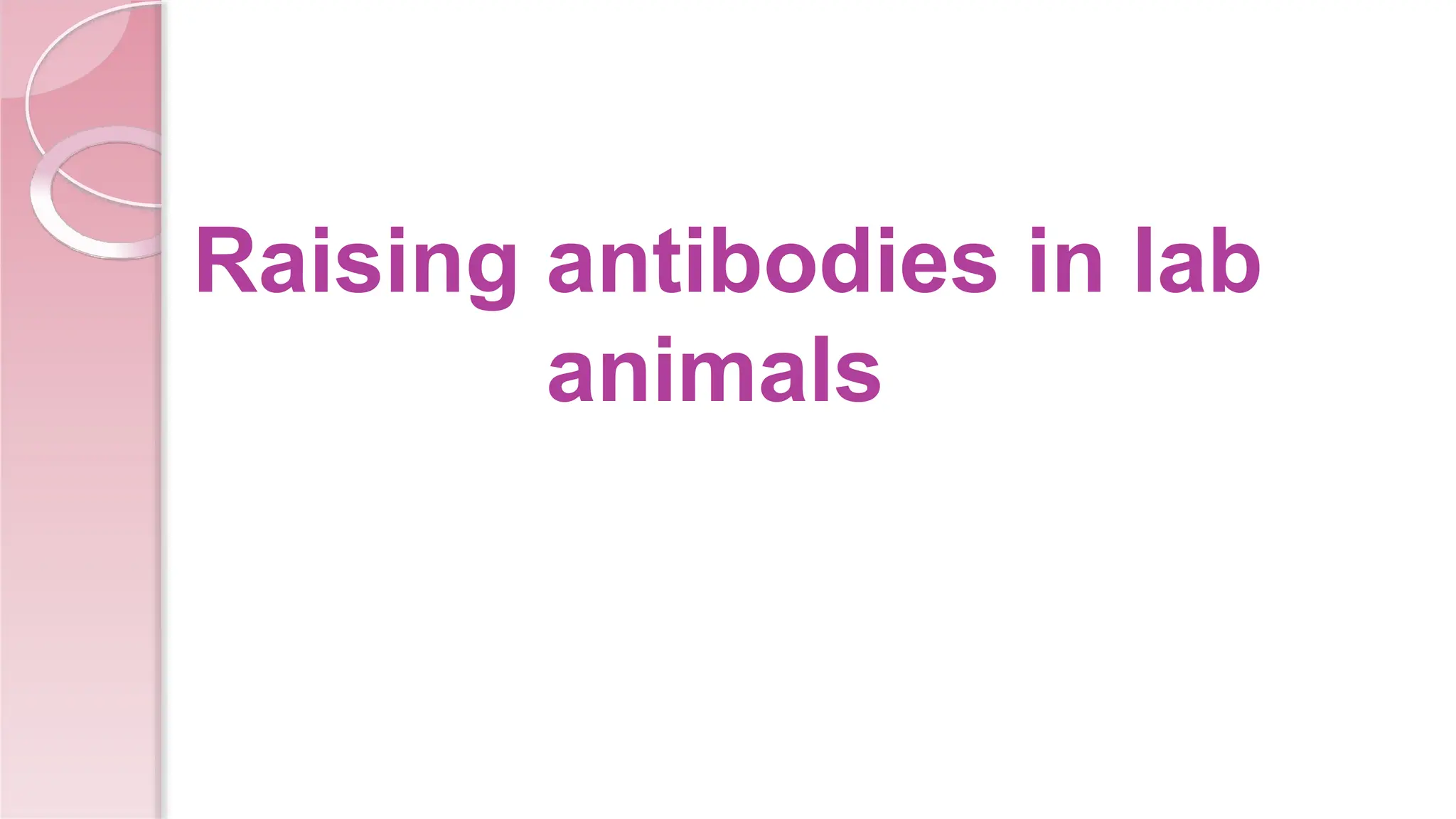 Raising antibodies in lab
animals
 