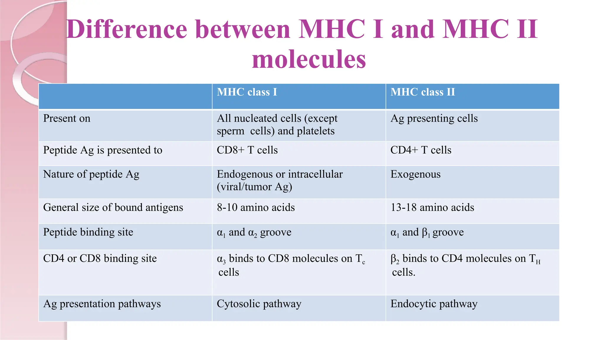 Difference between MHC I and MHC II
molecules
MHC class I MHC class II
Present on All nucleated cells (except
sperm cells) and platelets
Ag presenting cells
Peptide Ag is presented to CD8+ T cells CD4+ T cells
Nature of peptide Ag Endogenous or intracellular
(viral/tumor Ag)
Exogenous
General size of bound antigens 8-10 amino acids 13-18 amino acids
Peptide binding site α1 and α2 groove α1 and β1 groove
CD4 or CD8 binding site α3 binds to CD8 molecules on Tc
cells
β2 binds to CD4 molecules on TH
cells.
Ag presentation pathways Cytosolic pathway Endocytic pathway
 