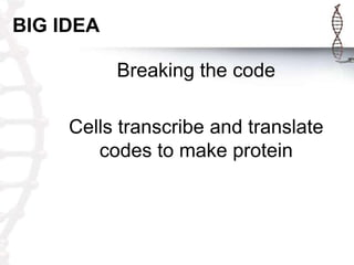 BIG IDEA

           Breaking the code

     Cells transcribe and translate
        codes to make protein
 