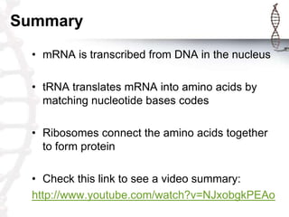 Summary
  • mRNA is transcribed from DNA in the nucleus

  • tRNA translates mRNA into amino acids by
    matching nucleotide bases codes

  • Ribosomes connect the amino acids together
    to form protein

  • Check this link to see a video summary:
  http://www.youtube.com/watch?v=NJxobgkPEAo
 
