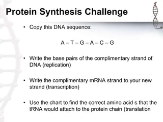 Protein Synthesis Challenge
   • Copy this DNA sequence:

                  A–T–G–A–C–G

   • Write the base pairs of the complimentary strand of
     DNA (replication)

   • Write the complimentary mRNA strand to your new
     strand (transcription)

   • Use the chart to find the correct amino acid s that the
     tRNA would attach to the protein chain (translation
 
