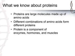 What we know about proteins
    • Proteins are large molecules made up of
      amino acids
    • Different combinations of amino acids form
      different proteins
    • Protein is a component of
      enzymes, hormones, and muscles
 