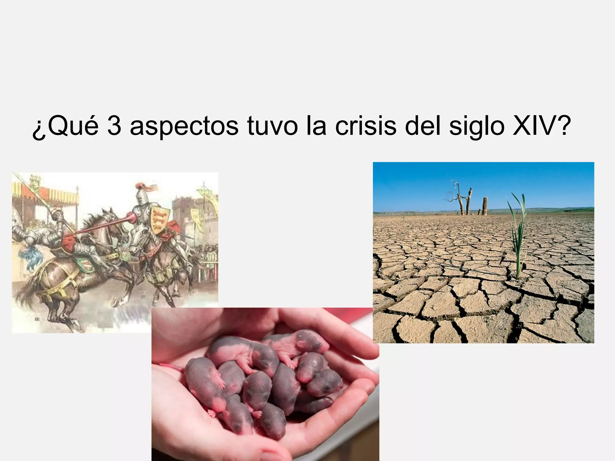 ¿Qué 3 aspectos tuvo la crisis del siglo XIV?

 