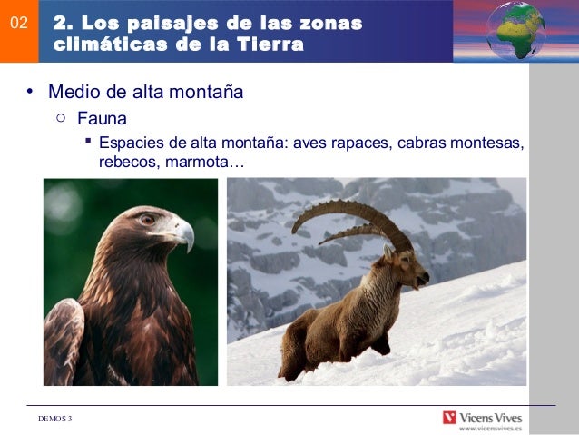 ¡Bravo! 30+  Raras razones para el Fauna Del Clima De Montaña: Clima de montaña en zonas tropicales.