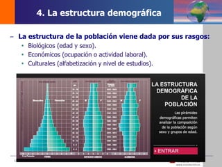DEMOS 3
– La estructura de la población viene dada por sus rasgos:
 Biológicos (edad y sexo).
 Económicos (ocupación o actividad laboral).
 Culturales (alfabetización y nivel de estudios).
4. La estructura demográfica
 