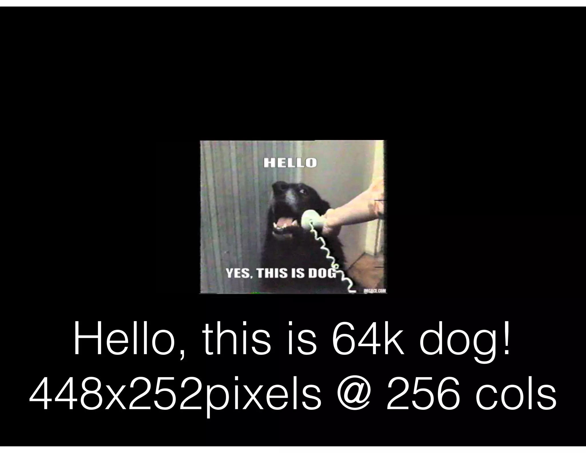 Hello, this is 64k dog!
448x252pixels @ 256 cols
 