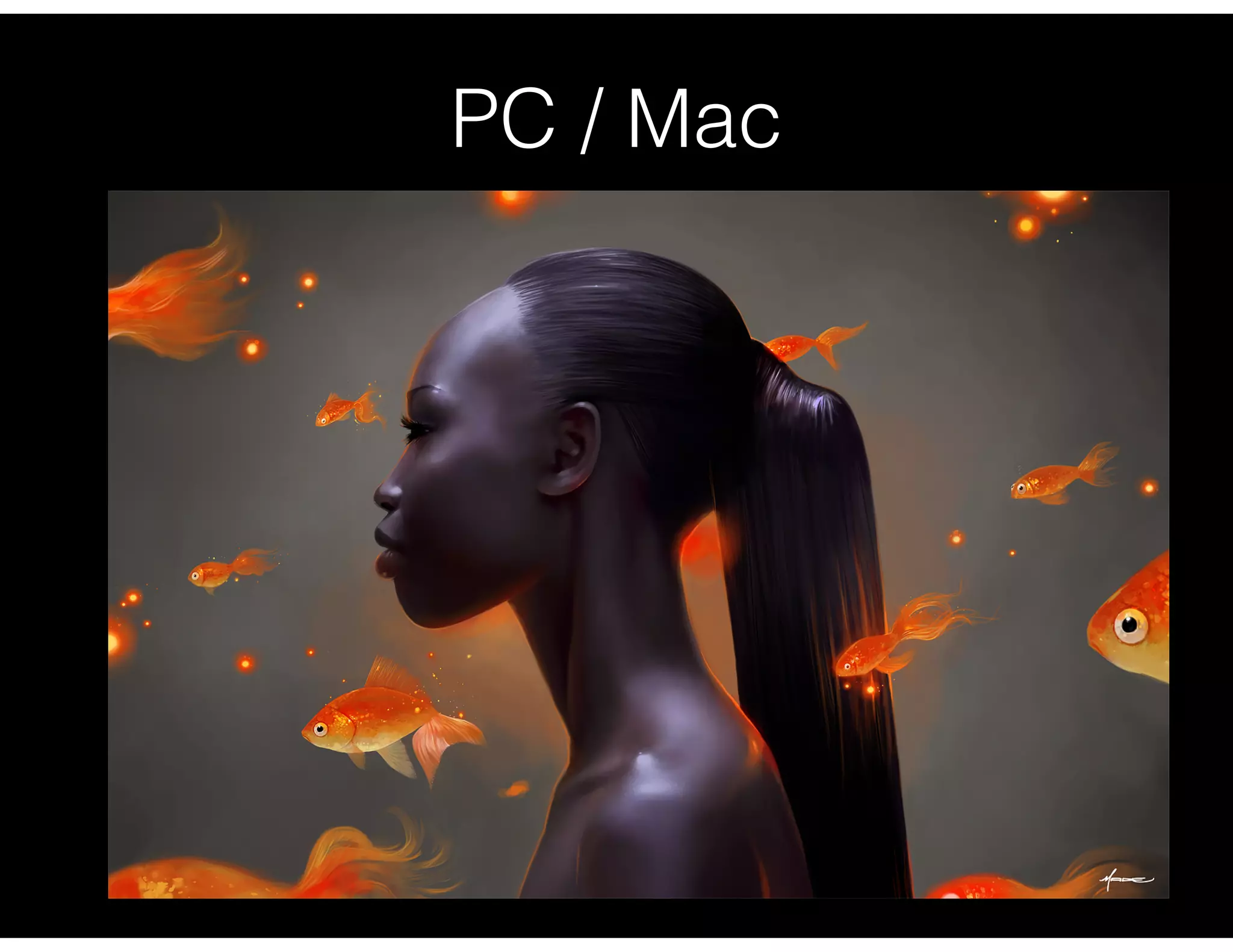 PC / Mac
 