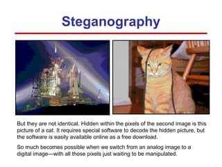 Steganography But they are not identical. Hidden within the pixels of the second image is this picture of a cat. It requires special software to decode the hidden picture, but the software is easily available online as a free download. So much becomes possible when we switch from an analog image to a digital image—with all those pixels just waiting to be manipulated. 