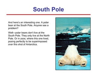 South Pole And here’s an interesting one. A polar bear at the South Pole. Anyone see a problem? Well—polar bears don’t live at the South Pole. They only live at the North Pole. Or in zoos, where this one lived, posing perfectly to be superimposed over this shot of Antarctica. 