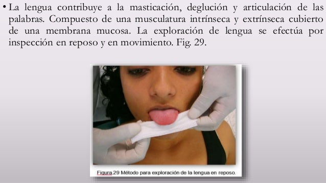 Amigo gay Méjico Demostración de cámara lengua