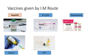 Vaccines given by I.M Route
Hepatitis IPV polio Pneumococcal
tetanus DPT
 