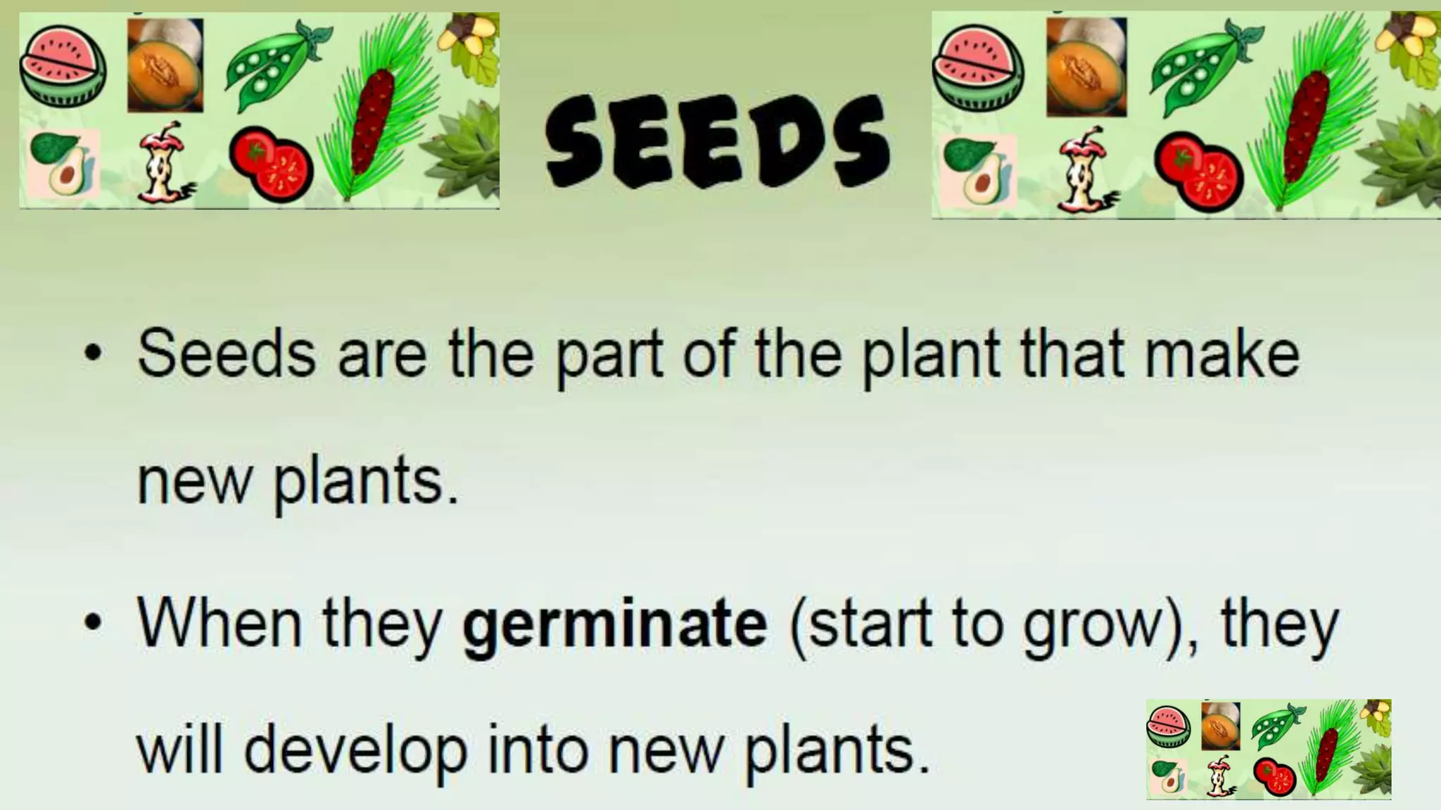 Parts of a Plants | PPT