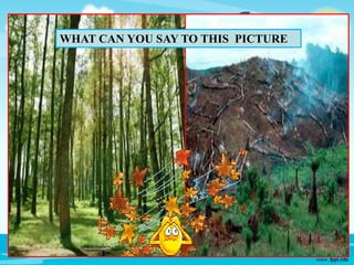 WHAT CAN YOU SAY TO THIS PICTURE