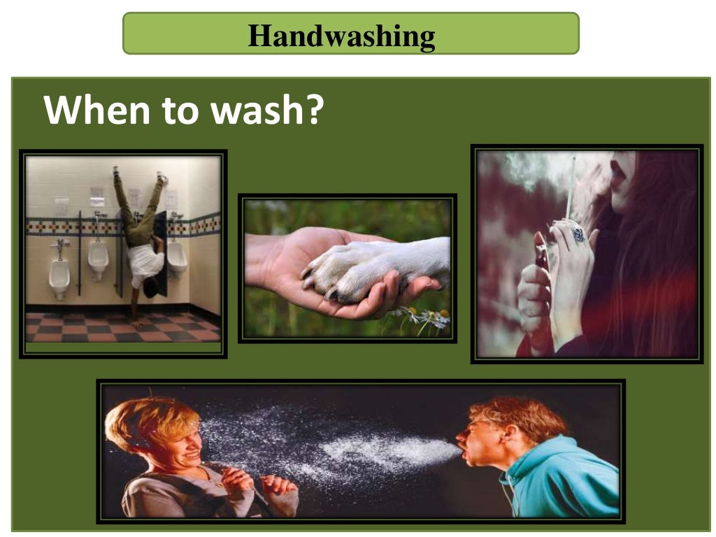 proper food handling, food safety, and sanitation practices