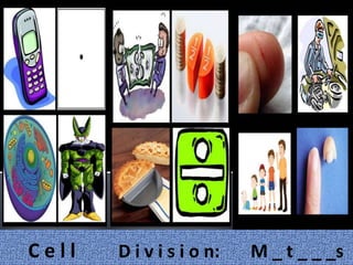 C e l l D i v i s i o n: M _ t _ _ _s
 
