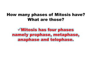 How many phases of Mitosis have?
What are those?
Mitosis has four phases
namely prophase, metaphase,
anaphase and telophase.
 