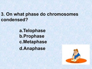 3. On what phase do chromosomes
condensed?
a.Telophase
b.Prophase
c.Metaphase
d.Anaphase
 