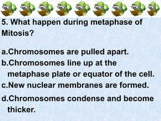 5. What happen during metaphase of
Mitosis?
a.Chromosomes are pulled apart.
b.Chromosomes line up at the
metaphase plate or equator of the cell.
c.New nuclear membranes are formed.
d.Chromosomes condense and become
thicker.
 