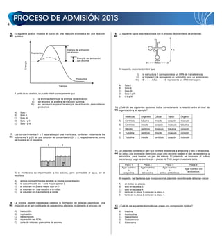 6. El siguiente gráfico muestra el curso de una reacción enzimática en una reacción         9. La siguiente figura está relacionada con el proceso de biosíntesis de proteínas:
    ME química:                                                                                  ME
                                                                                                                                                3’
                                                                                                                                                       5’


                                                             Energía de activación                                                                                   1
                             Reactantes                      sin enzima

                                                                      Energía de activación
                                                                      con enzima                                                                 UUA
                  Energía




                                                                                                                                        5’– – – –AAU– – – –3’

                                                                                                      Al respecto, es correcto inferir que

                                                                                                                              I)    la estructura 1 corresponde a un ARN de transferencia.
                                                                                                                             II)    el triplete UUA representa un anticodón para un aminoácido.
                                                                      Productos                                             III)    5’– – – –AAU– – – –3’ representa un ARN mensajero.

                                                     Tiempo                                           A)     Solo I
                                                                                                      B)     Solo II
                                                                                                      C)     Solo III
        A partir de su análisis, se puede inferir correctamente que                                   D)     Solo I y III
                                                                                                      E)     I, II y III
                               I)   la enzima disminuye la energía de activación.
                              II)   sin enzima se acelera la reacción química.
                             III)   es necesario superar la energía de activación para obtener
                                    productos.                                                   10. ¿Cuál de las siguientes opciones indica correctamente la relación entre el nivel de
                                                                                                 MC organización y su ejemplo?
        A)    Solo I
        B)    Solo II
                                                                                                              Molécula             Organelo         Célula      Tejido        Órgano
        C)    Solo III
        D)    Solo I y II                                                                             A)      Centríolo            tubulina         miocito     corazón       músculo
        E)    Solo I y III
                                                                                                      B)      Centríolo            miocito          corazón     músculo       tubulina
                                                                                                      C)      Miocito              centríolo        músculo     tubulina      corazón
                                                                                                      D)      Tubulina             centríolo        miocito     músculo       corazón
     7. Los compartimientos 1 y 2 separados por una membrana, contienen inicialmente los
    MC volúmenes V y 2V de una solución de concentración 2X y X, respectivamente, como                E)      Tubulina             miocito          centríolo   corazón       músculo
        se muestra en el esquema.

                                            1           2

                                                                                                 11. Un plásmido contiene un gen que confiere resistencia a ampicilina y otro a tetraciclina.
                                                                                                 ME Se utiliza una enzima de restricción, cuyo sitio de corte está en el gen de resistencia a
                                                                                                      tetraciclina, para insertar un gen de interés. El plásmido se incorpora al cultivo
                                                                                                      bacteriano y luego se siembra en 4 placas de Petri, según muestra la tabla.
                                            V           2V
                                           2X            X                                                   Placa 1                  Placa 2                Placa 3                     Placa 4
                                                                                                           Agar nutritivo          Agar nutritivo          Agar nutritivo
                                                                                                                                                                                 Agar nutritivo sin
                                                                                                                 +                       +                       +
                                                                                                                                                                                   antibióticos
        Si la membrana es impermeable a los solutos, pero permeable al agua, en el                          ampicilina              tetraciclina         ambos antibióticos
        equilibrio
                                                                                                      Al respecto, las bacterias que incorporaron el plásmido recombinante deberían crecer
        A)    ambos compartimientos tendrán la misma concentración.
        B)    la concentración en 1 será mayor que en 2.                                              A)     en todas las placas.
        C)    el volumen en 2 será mayor que en 1.                                                    B)     solo en la placa 3.
        D)    el volumen en 1 se reducirá a la mitad.                                                 C)     solo en la placa 4.
        E)    el volumen en 2 aumentará al doble.                                                     D)     tanto en la placa 1 como en la placa 4.
                                                                                                      E)     tanto en la placa 2 como en la placa 4.


     8. La enzima peptidil–transferasa cataliza la formación de enlaces peptídicos. Una
    ME mutación en el gen codificante de esta enzima afectaría inicialmente el proceso de        12. ¿Cuál de las siguientes biomoléculas posee una composición lipídica?
                                                                                                 ME
        A)    traducción.                                                                             A)     Insulina
        B)    replicación.                                                                            B)     Acetilcolina
        C)    transcripción.                                                                          C)     Vasopresina
        D)    reparación del ADN.                                                                     D)     Testosterona
        E)    corte de intrones y empalme de exones.                                                  E)     Adrenalina
 