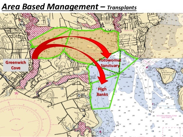 The Lay of the Land: Understanding Quahog Management in Rhode Island