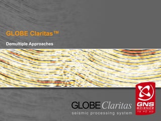 GLOBE Claritas™
Demultiple Approaches
 