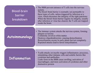 • The BBB prevent entrance of T cells into the nervous
system.
The blood–brain barrier is normally not permeable to
these types of cells, unless triggered by infection or a
virus, which decreases the integrity of the tight junctions.
When the blood–brain barrier regains its integrity, usually
after infection or virus has cleared, the T cells are trapped
inside the brain.
Blood-brain
barrier
breakdown
• The immune system attacks the nervous system, forming
plaques or lesions.
Commonly involves white matter.
Destroys oligodendrocytes- causing demyelination
Remyelination occurs in early phase but not completely.
Repeated attacks lead to fewer remyelination.
Autoimmunology
• T-cells attacks on myelin triggers inflammatory processes,
stimulating other immune cells and soluble factors like
cytokines and antibodies.
Leaks form in the BBB cause swelling, activation of
macrophages, and more activation of cytokines and other
destructive protein
Inflammation
 