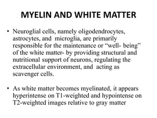 MYELIN AND WHITE MATTER
• Neuroglial cells, namely oligodendrocytes,
astrocytes, and microglia, are primarily
responsible for the maintenance or “well- being”
of the white matter- by providing structural and
nutritional support of neurons, regulating the
extracellular environment, and acting as
scavenger cells.
• As white matter becomes myelinated, it appears
hyperintense on T1-weighted and hypointense on
T2-weighted images relative to gray matter
 