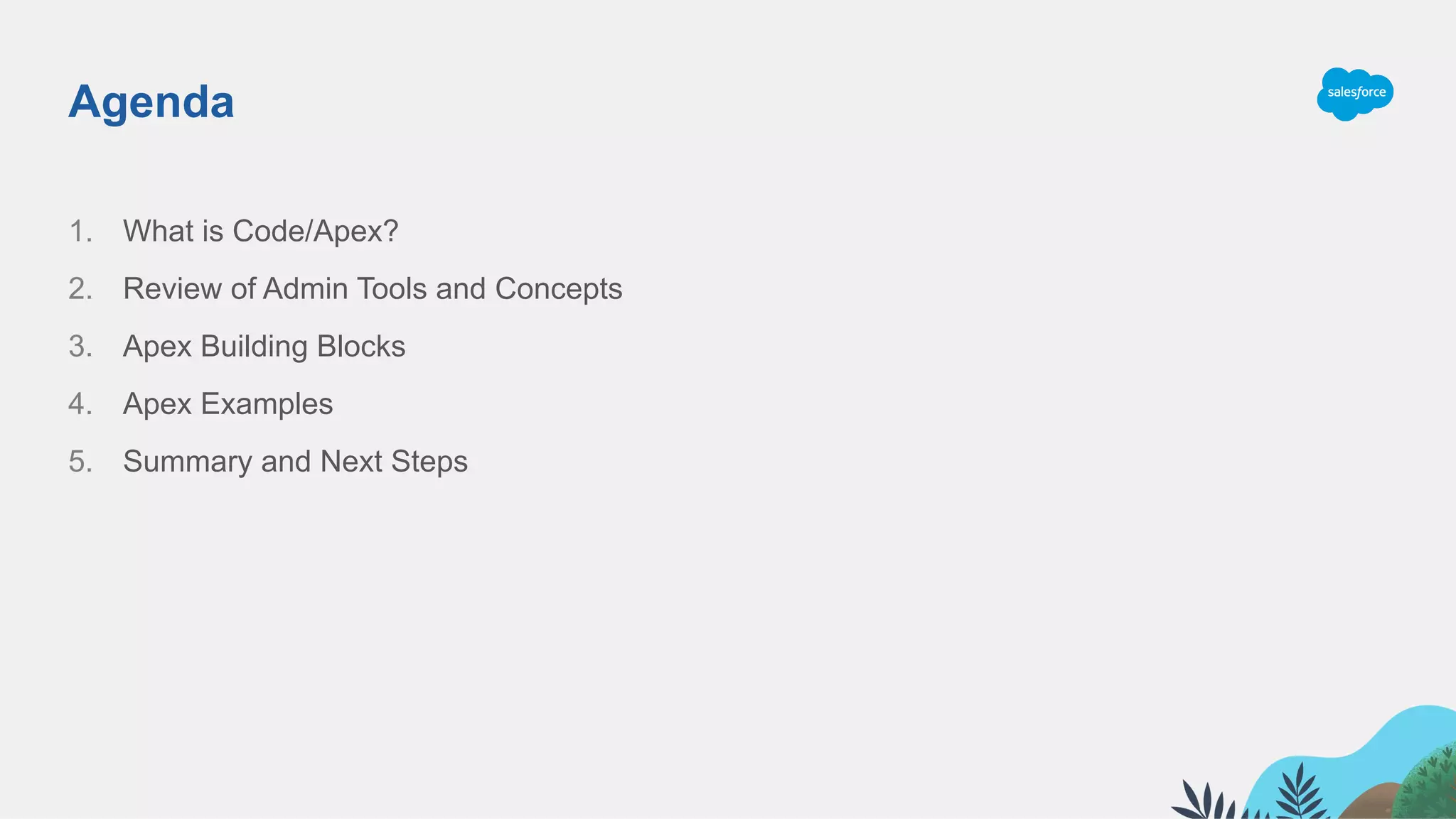 Agenda
1.  What is Code/Apex?
2.  Review of Admin Tools and Concepts
3.  Apex Building Blocks
4.  Apex Examples
5.  Summary and Next Steps
 