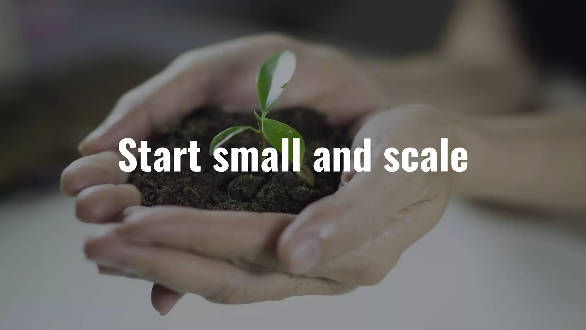 Start small and scale
 