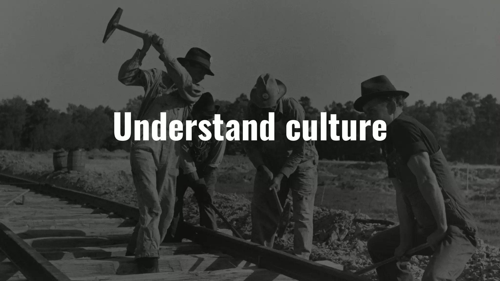 Understand culture
 